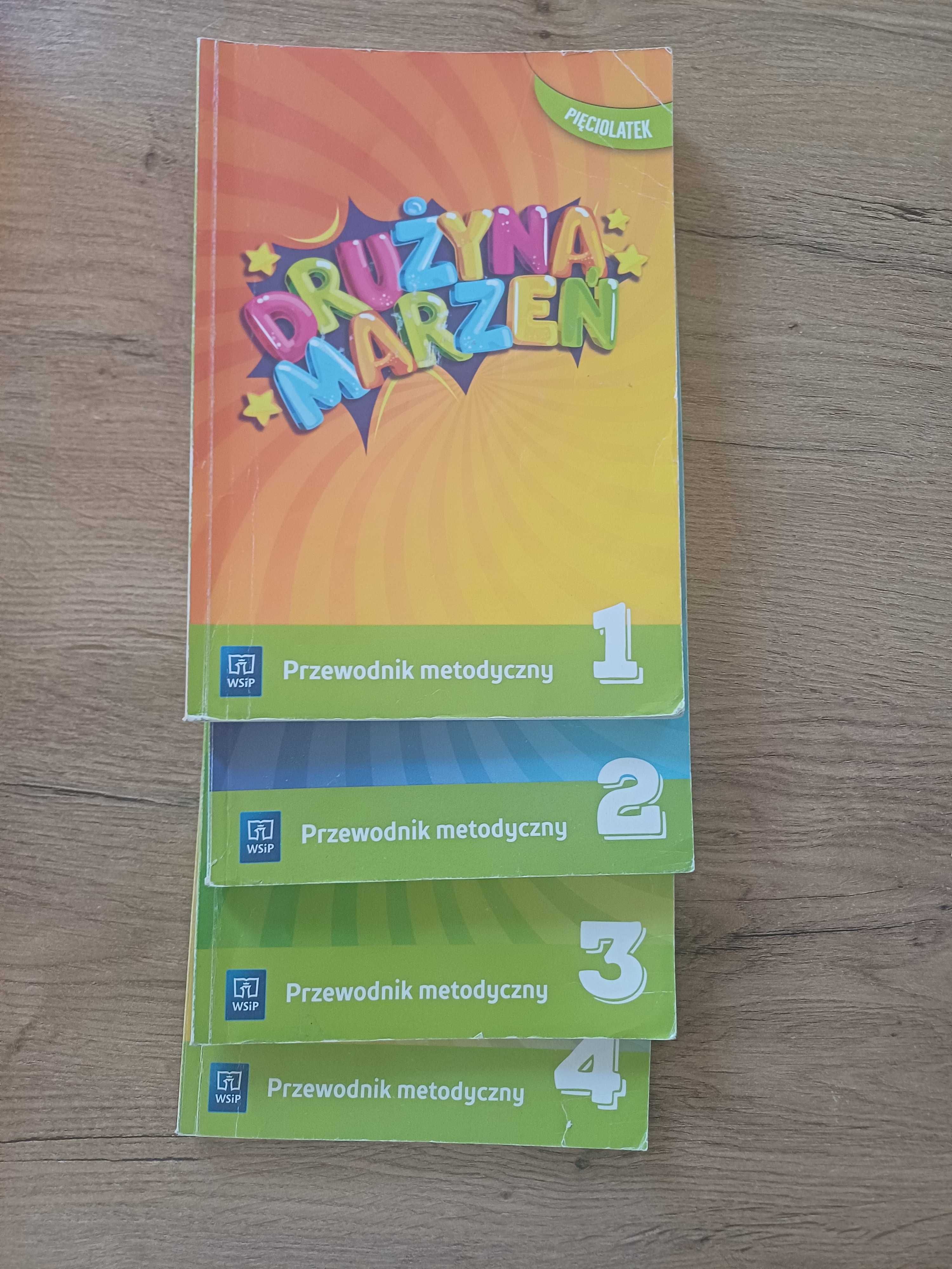 Przewodnik metodyczny Drużyna Marzeń pięciolatek sześciolatek