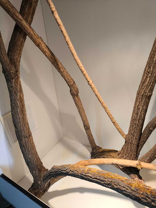 Duże terrarium 100x60x125 cm z płyty meblowej w kolorze białym.