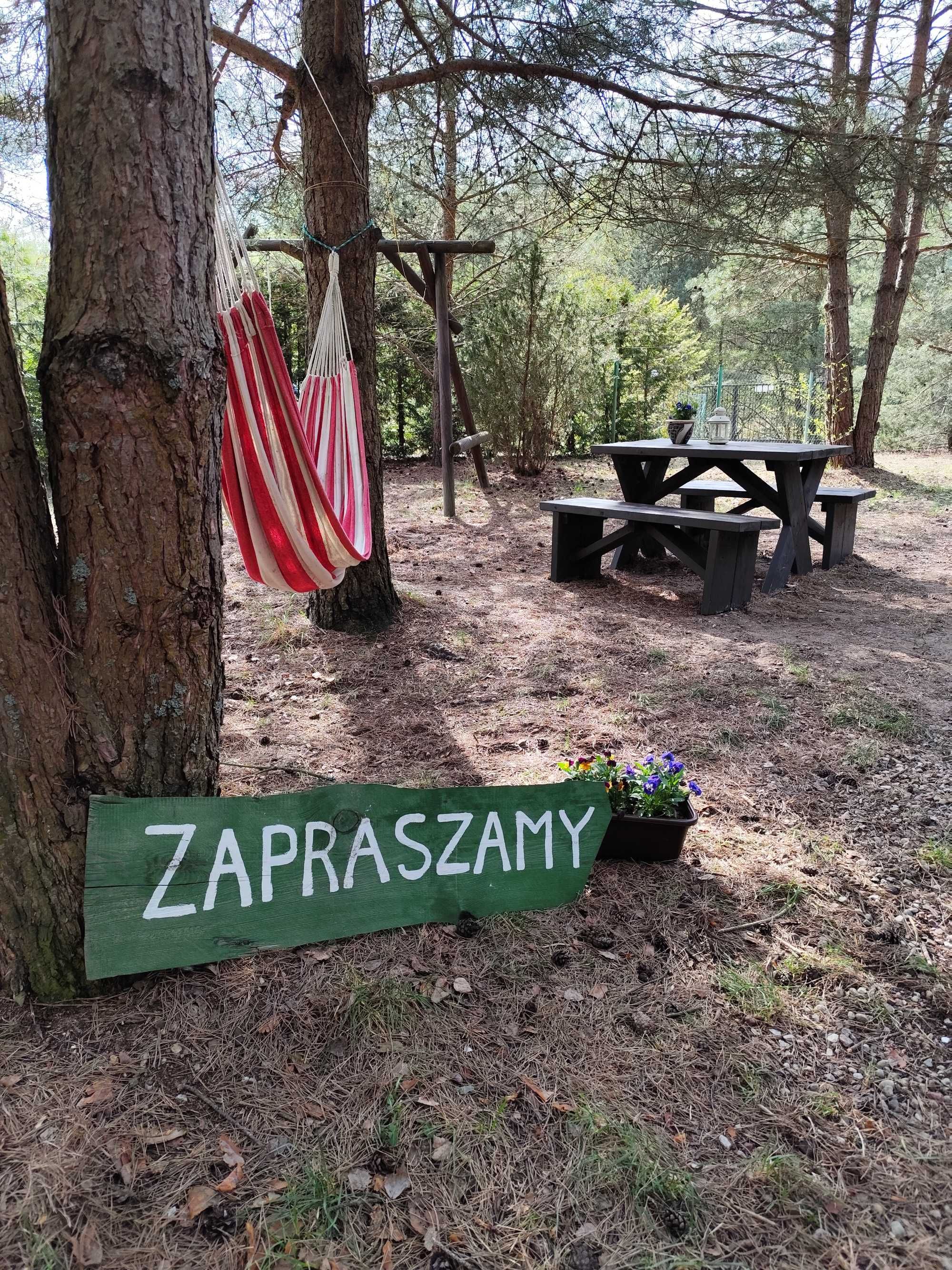 Domek Wiktor Kaszuby, Olpuch wolne terminy