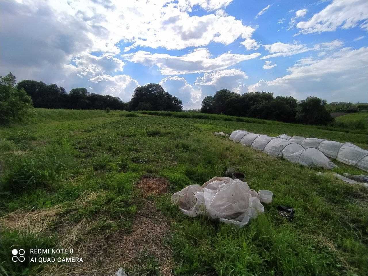 Будинок с. Івки Богуславський р-н