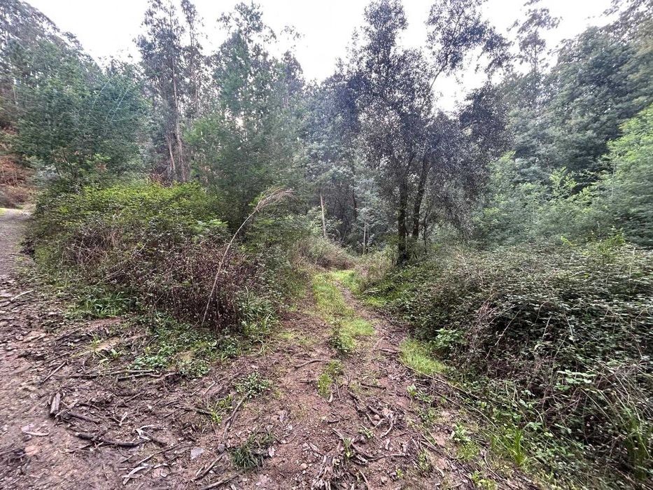 Terreno para venda em Porto da Carvalha,  Penacova