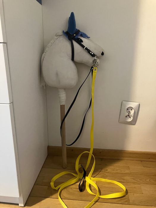 Sprzęt dla hh: ogłowie, ląża i nauszniki