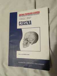 Anatomia Prawidłowa Człowieka. Czaszka. A. Skawina