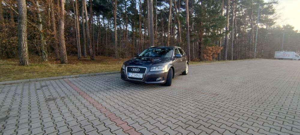 Audi A3 8P 2,0 TDI AUTOMAT