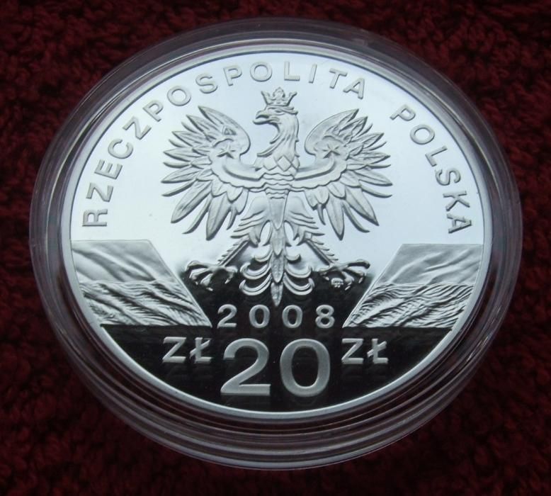 Moneta 20 ZŁ PTAK SOKÓŁ WĘDROWNY 2008 Rok - Po kolekcjonerze W kapslu