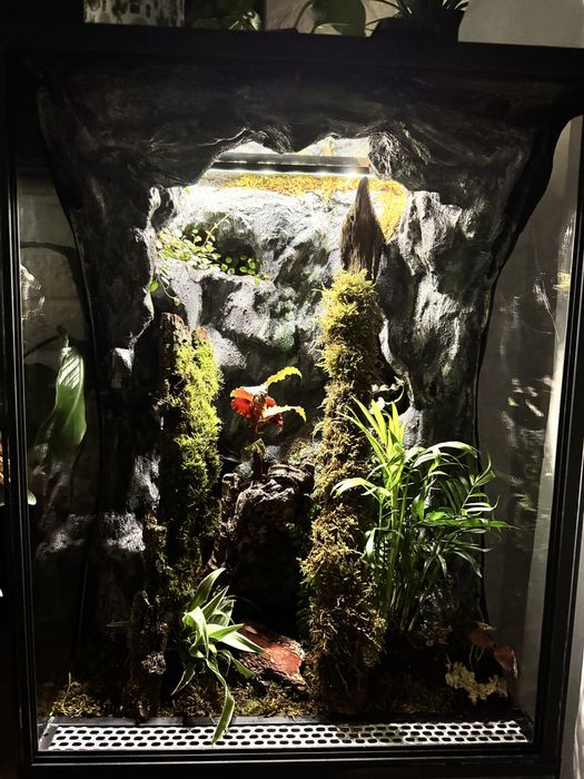 Terrarium tropikalne 40x40x60 idealne dla gekona