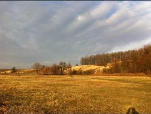 Стайня (конюшня) в оренду. Обухівський р-н., Київська область