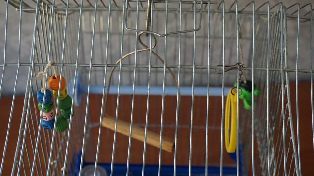 Клетка для попугаев, канареек и других маленьких птиц