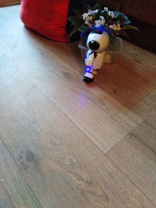 Poruszający Robot Rewelacja