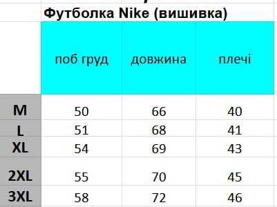 Чоловіча футболка Nike біла (ТОП якість - вишивка)