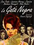 Cinema Autor / Tripla   3 DVD = 10€