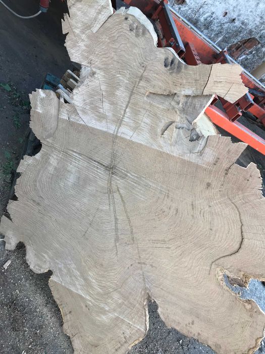 Monolity dębowe - krążki