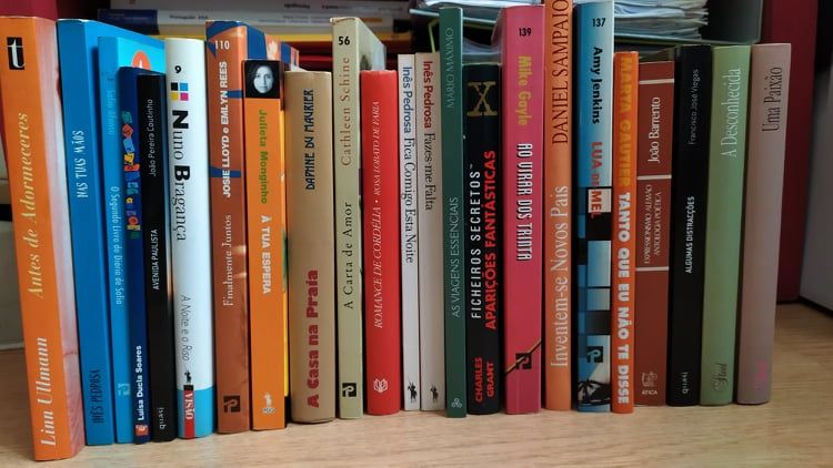 Lote livros variados