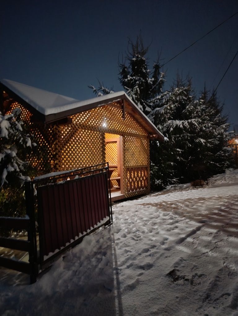 Котедж Арніка Ворохта