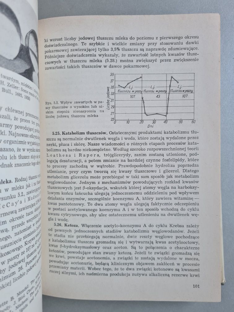 Naukowe podstawy żywienia zwierząt - Książka