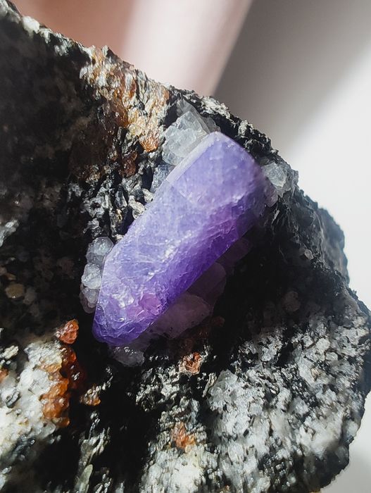 Szafir z granatami na granicie - Madagaskar (minerał)