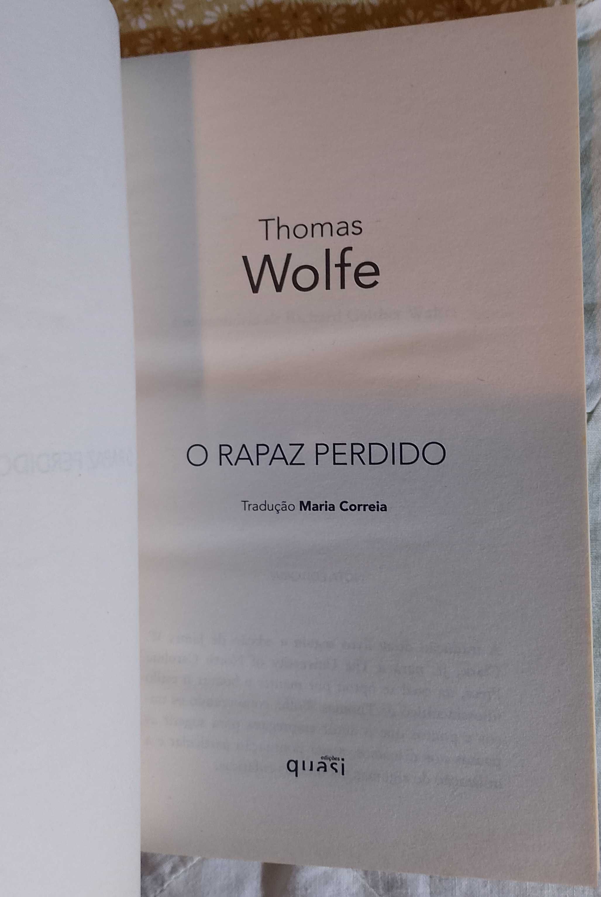O rapaz perdido, Thomas Wolfe