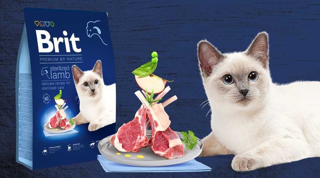 Корм для котів Brit premium РОЗПРОДАЖ