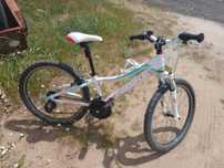 Rower Unibike Roxy
