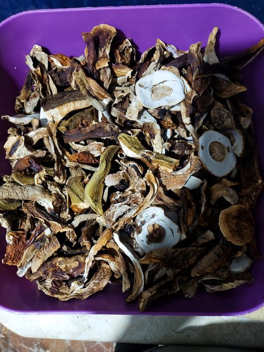 Borowik szlachetny suszony