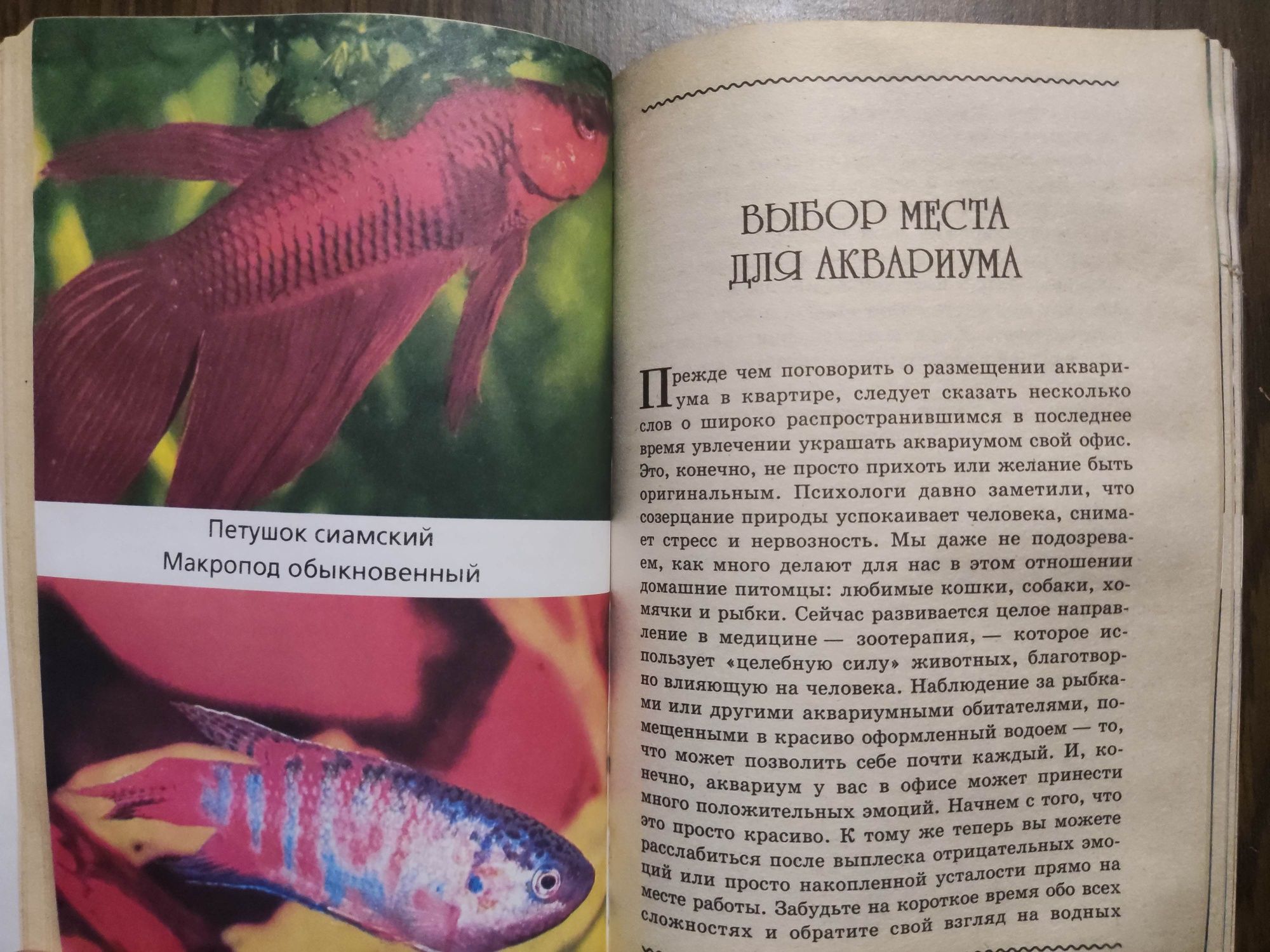 Аквариум от а до Я