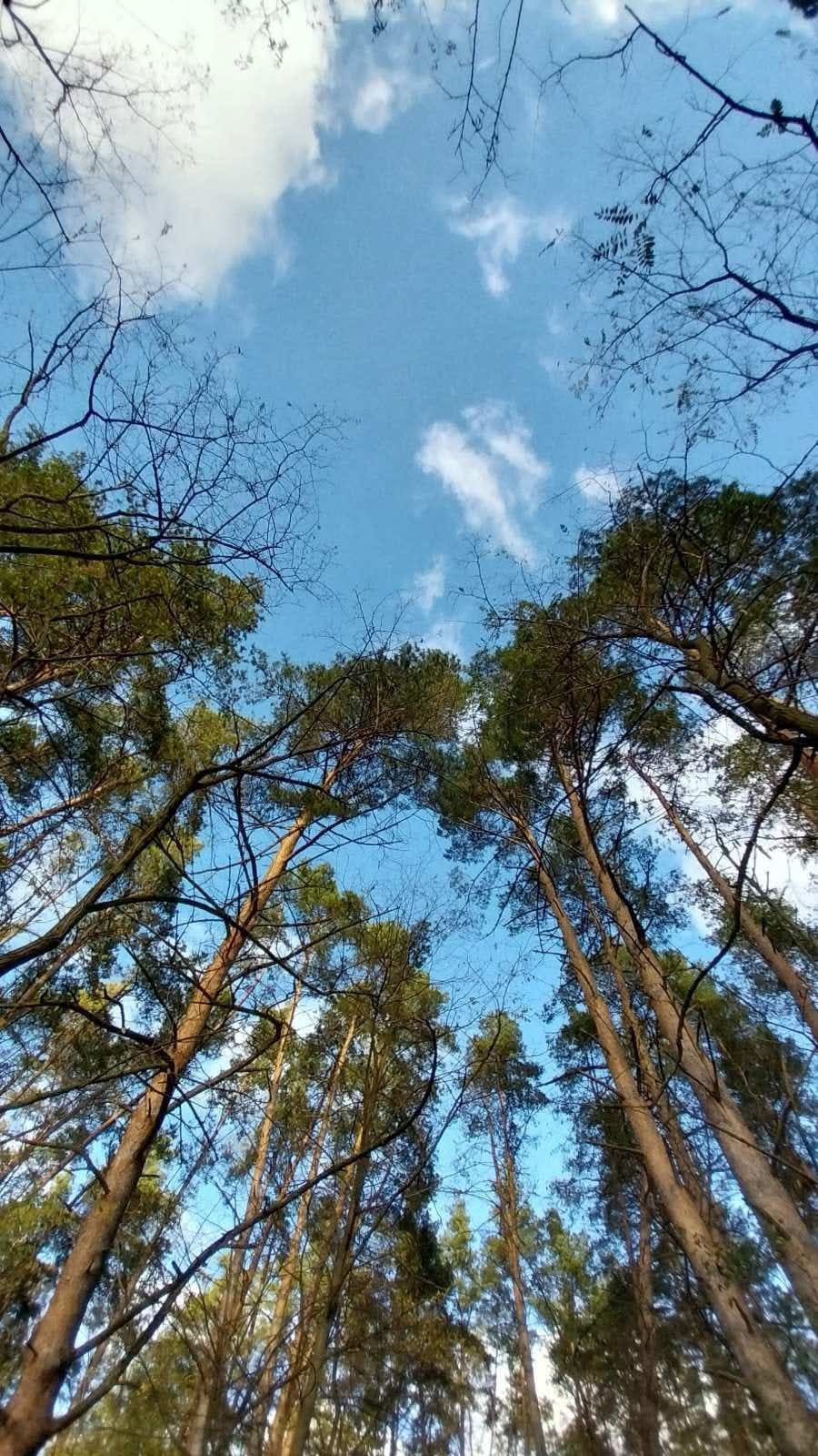 Будинок в центрі села, фасад під бізнес, дом