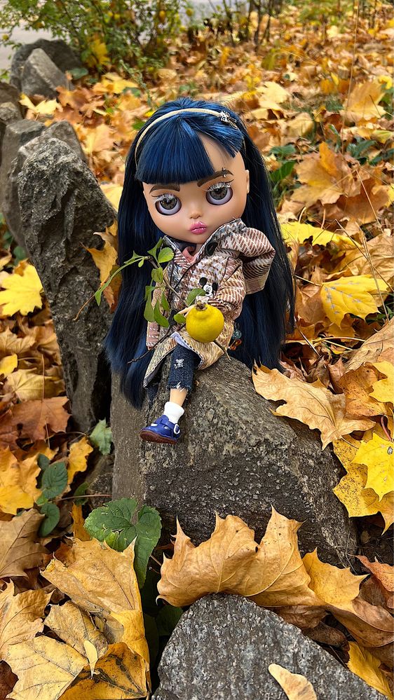 Кукла блайз лялька blythe custom doll