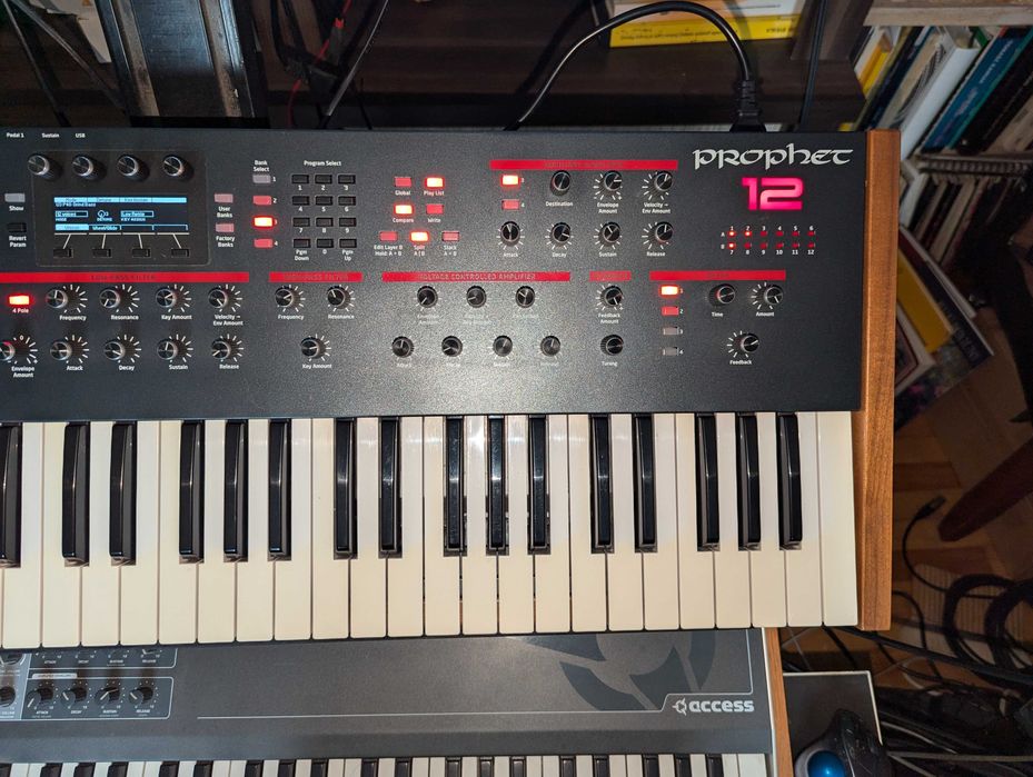 Dave Smith Prophet 12