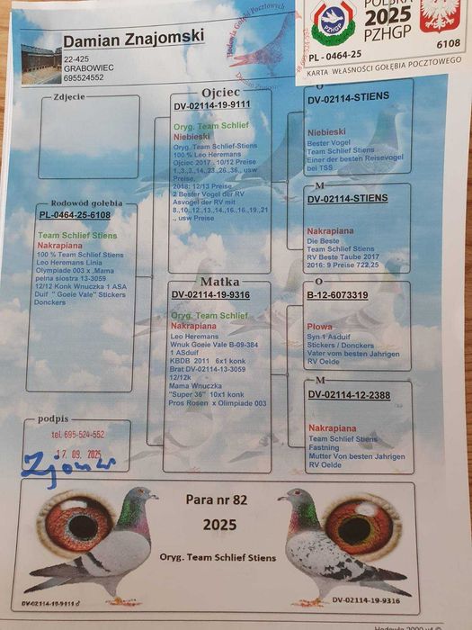 Gołębie pocztowe po Oryg. Hans Hirn Leo Heremans Vandenabeele rodowód