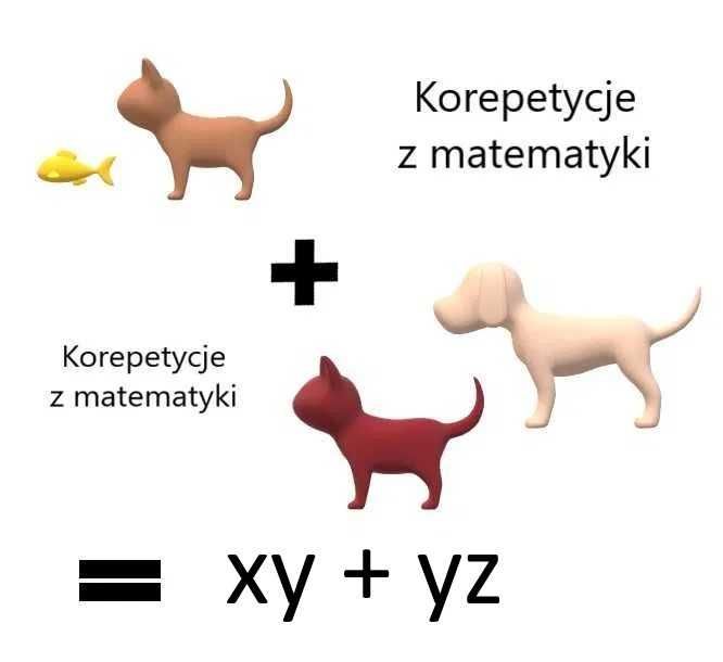 Korepetycje Matematyka - SKOCZÓW (stacjonarnie lub online)