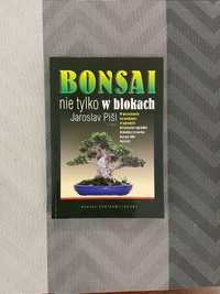 Bonsai nie tylko w blokach
