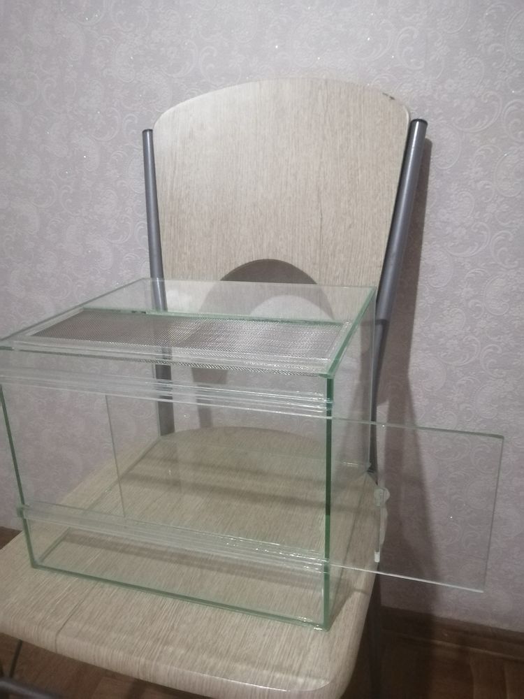 Тераріум з павуком
