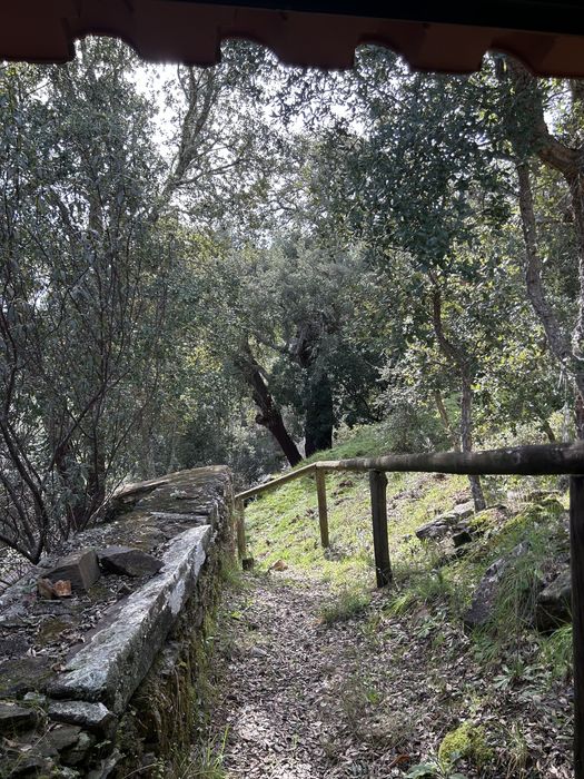 Quinta ecologica / eco farm Oleiros