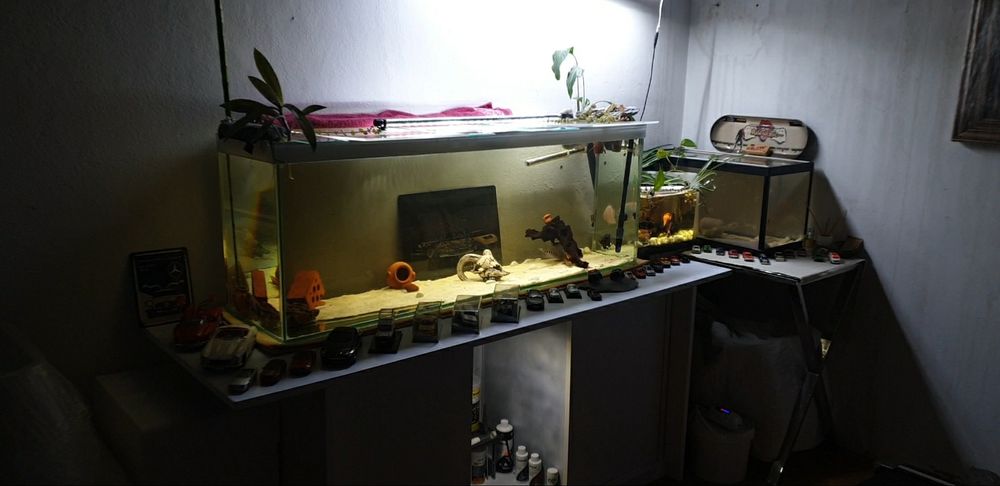 Aquario 1.30m + móvel + iluminação