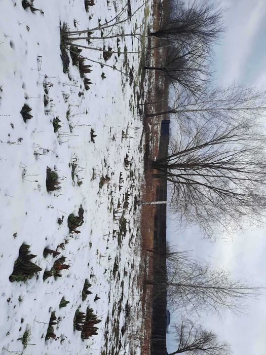 Продам земельну ділянку під забудову (10 сотих)