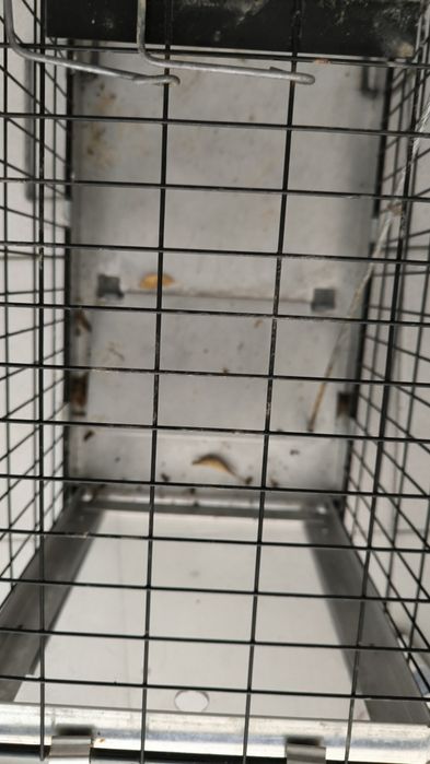 Gaiola / armadilha animais