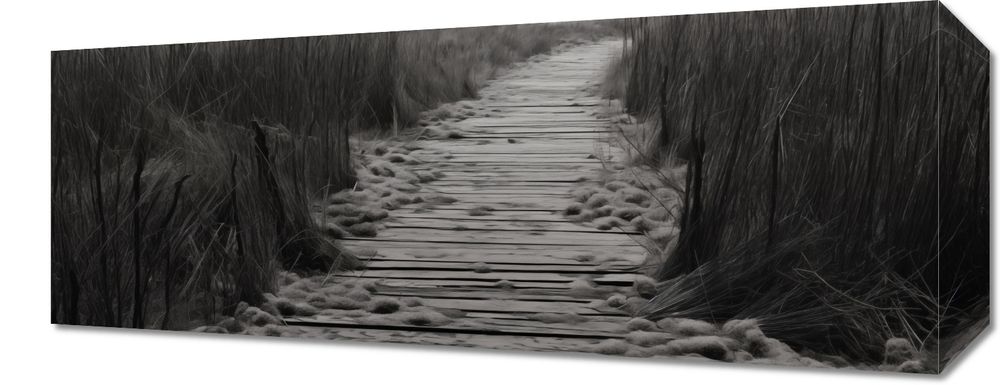 Obraz 50x20cm Ścieżka Ciszy Wydm