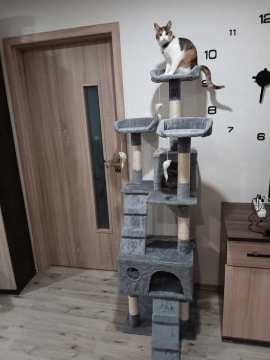 drapak dla kota domek drapak dla kota wysoki 170 cm legowisko zabawki