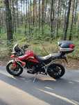 Triumph Tiger Triumph Motor 900GT