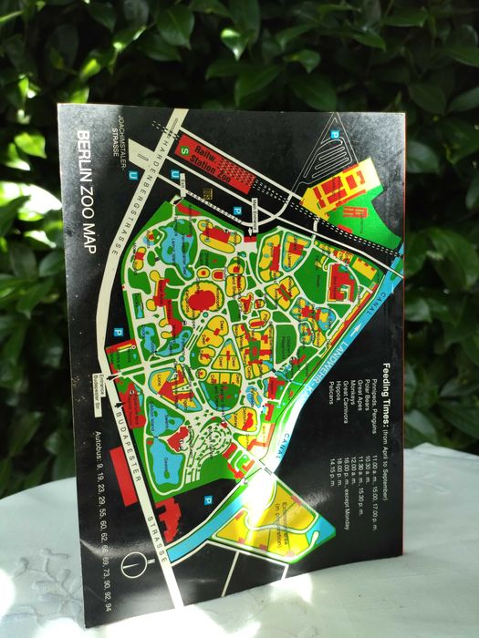 Berlin Zoo - Guide to the Berlin Zoological Garden64398289011075121