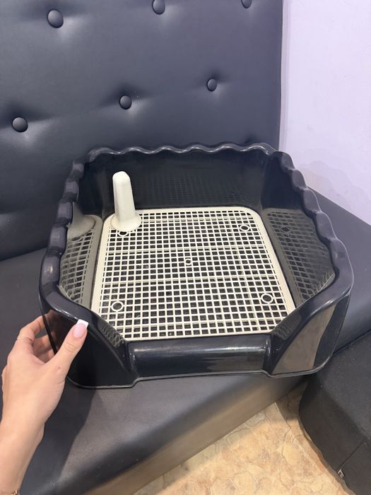 Туалет , лоток для собак