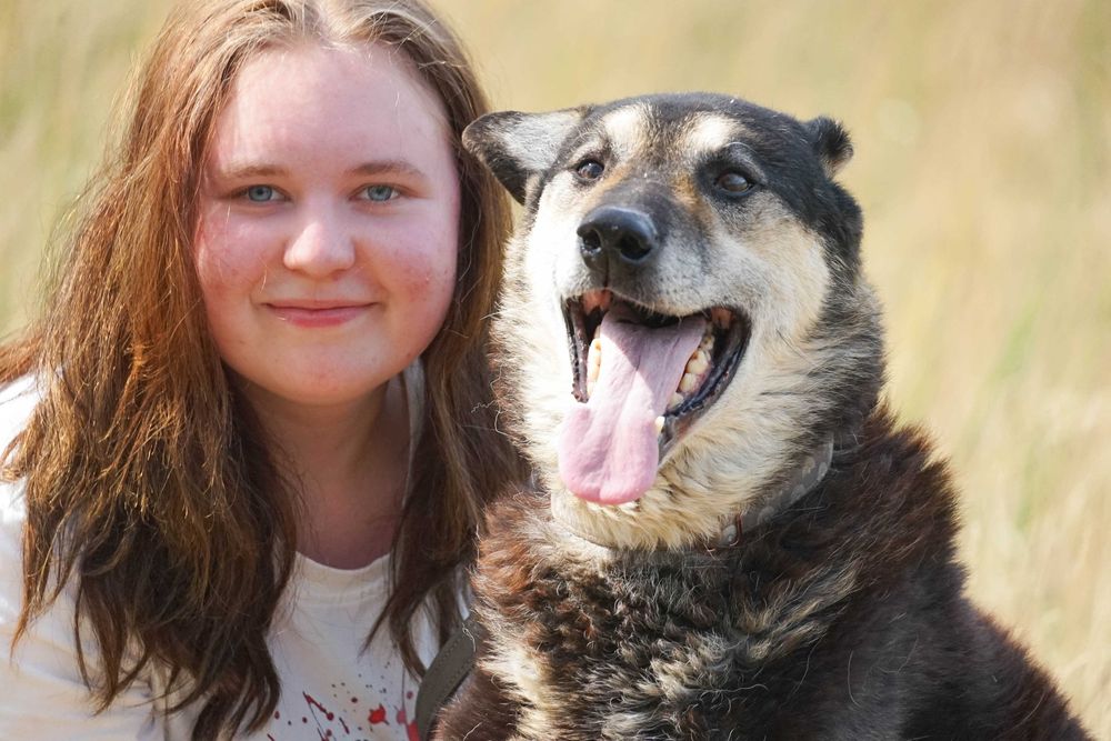Biegun - cudowny starszy piesek czeka na dom