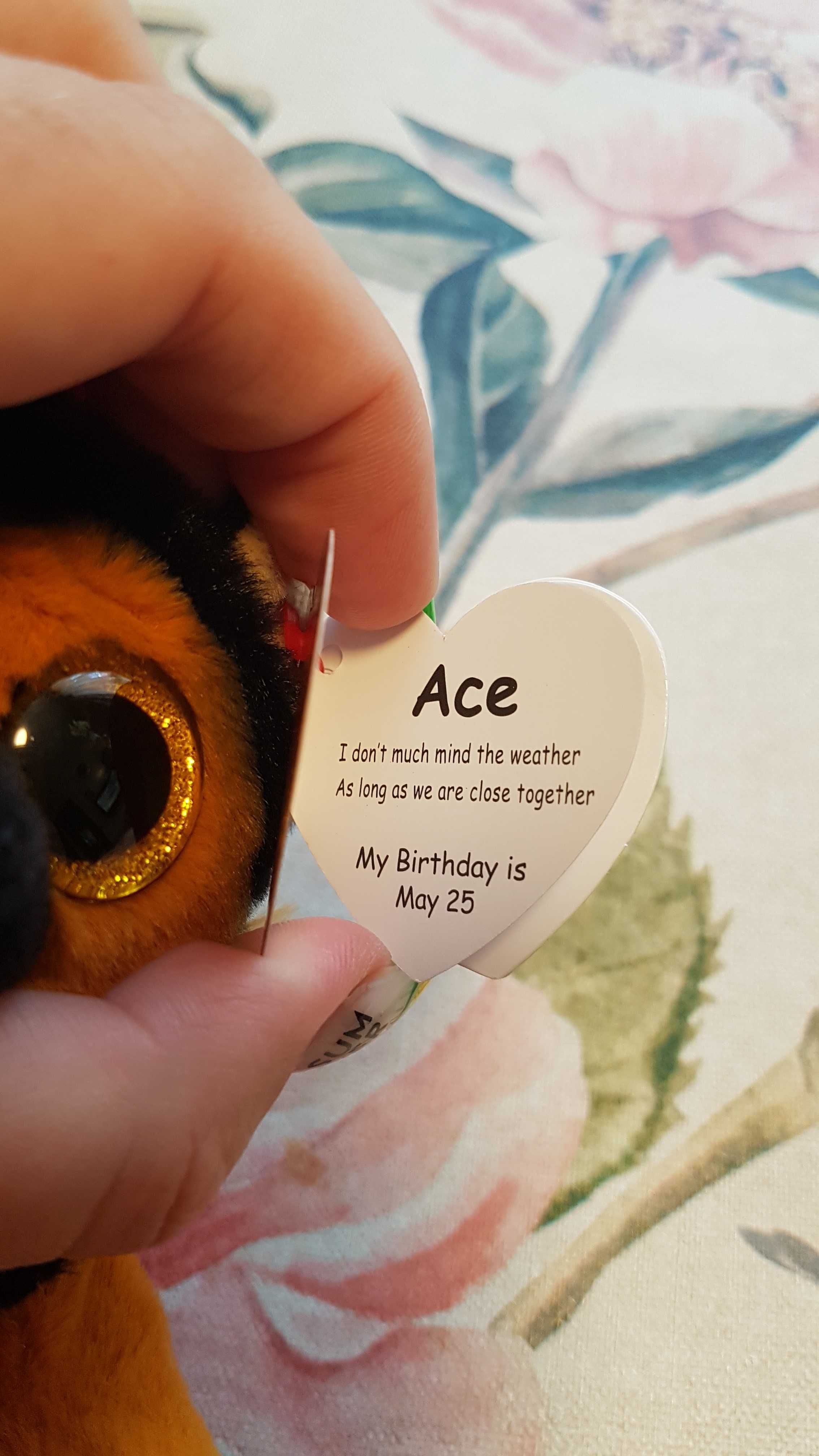 TY Beanie Babies глазастик собака немецкая овчарка ACE 22 см оригинал