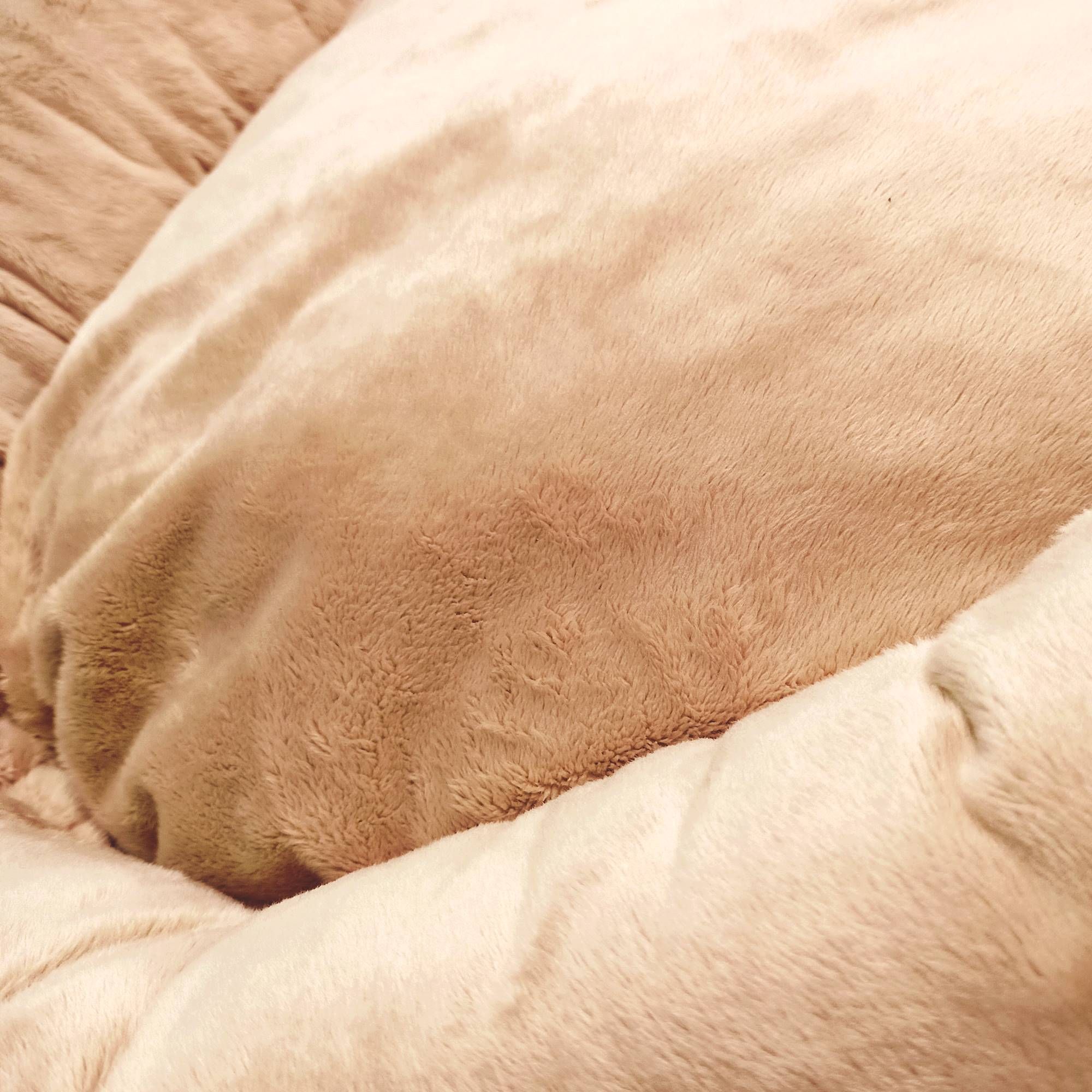 Przytulne legowisko pluszowe dla psa lub kota BUZZY (60x55 cm, Beż)