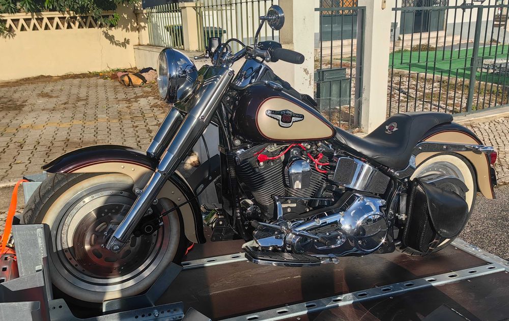 Harley Davidson Fat Boy Evolution 95Th anniversary