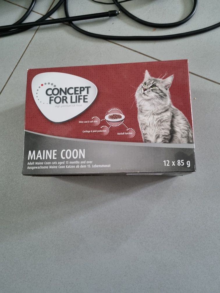 Mokra karma dla kota maine coon