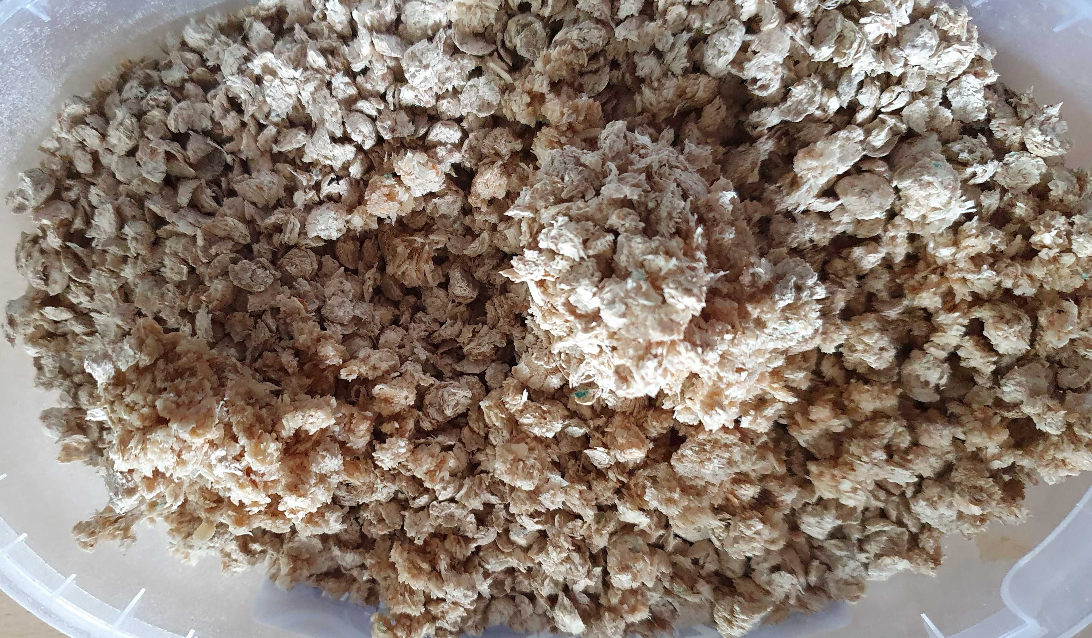 Calitti Wood Fibre  żwirek zbrylający drewniany dla kota 10L