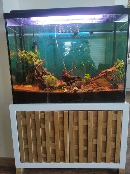 Akwarium 168l z szafką
