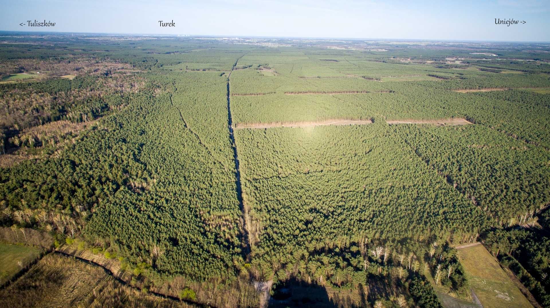 Na sprzedaż: działka budowlana wraz z lasem w Słuszkowie