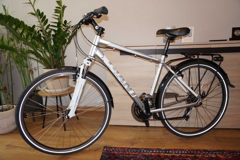 Rower Giant Argento RS 4